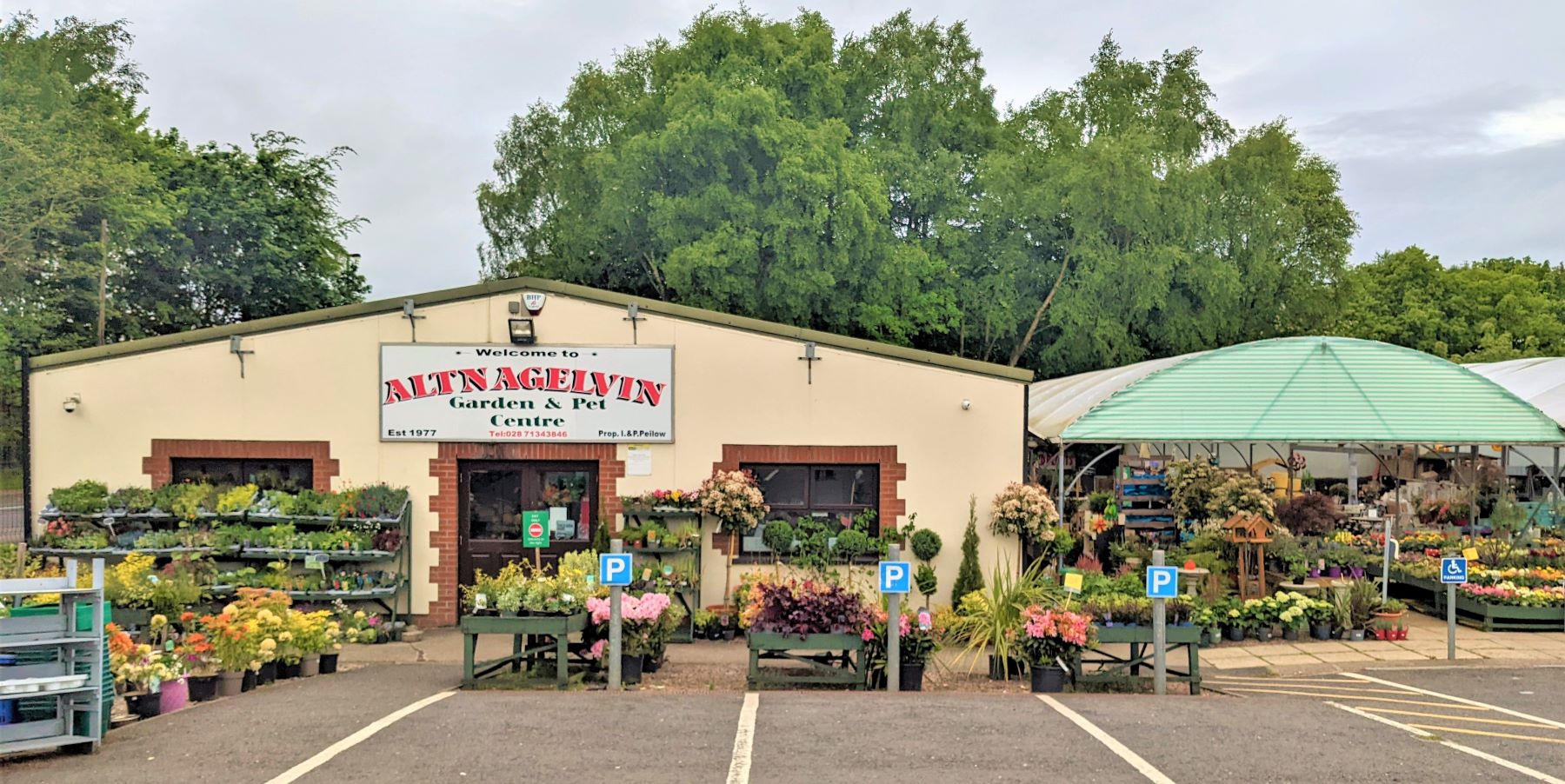 Derry horticultural landmark Altnagelvin garden centre goes up for sale