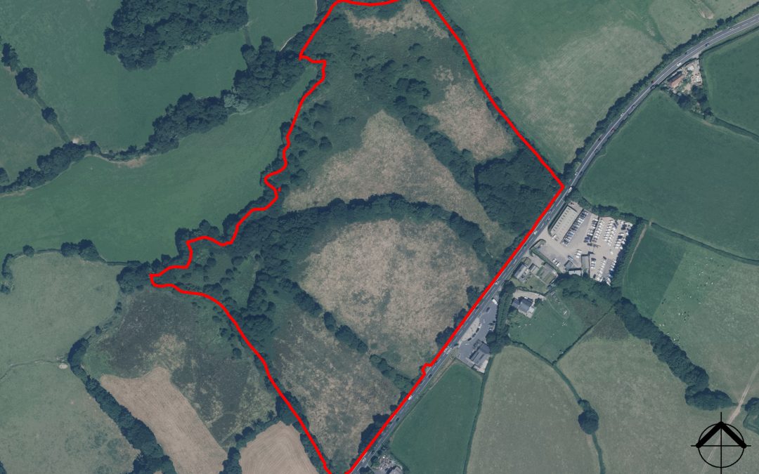 Honiton A30 roadside land sells at auction for almost three times guide price